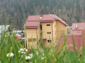 Отель Pension Flora Alpina, Азуга